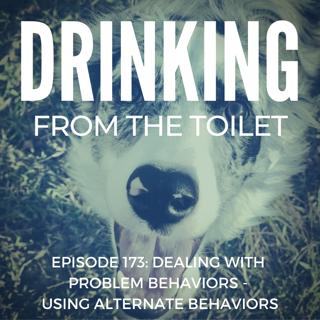 #173: Dealing with Problem Behaviors - Using Alternate Behaviors