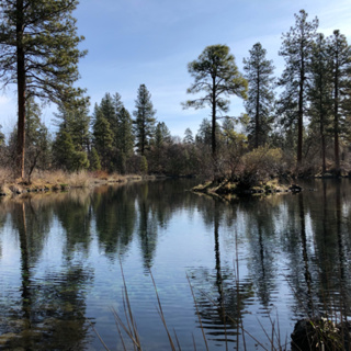 Episode 67: Ahjumawi Lava Springs State Park: Morning Beside Ja She Creek