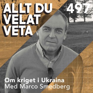 Allt du velat veta