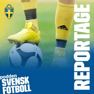 Framtidens spelförståelse