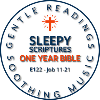Job 11–21 | Wrestling with Sorrow | Sleepy Scriptures One-Year Bible