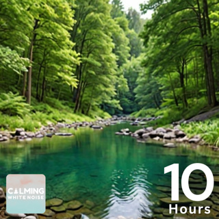 Relaxing Creek Sounds for Sleep, Study, and Relaxation | 10 Hour Nature Sounds