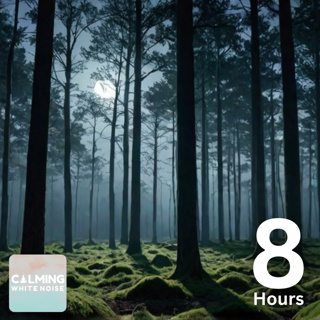 Relaxing Crickets Chirping at Night for Sleep and Meditation (8 Hours)