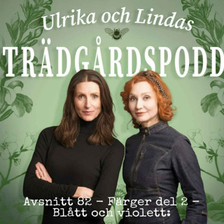 Avsnitt 82 - Färger del 2 - Blått och violett