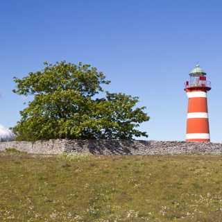 Fåglarnas Gotland