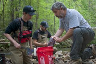 320 - Introducing the Bartram's Bass with Dr. Mark Scott