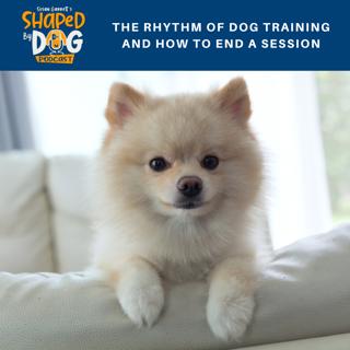 The Rhythm Of Dog Training And How To End A Session #119