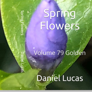 Spring Flowers Volume 79 Golden by Daniel Lucas