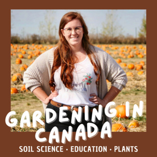 How to start gardening in cold climates
