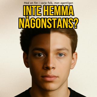 ”Mellanförskapet” – Framtiden för ”mixade barn” i Sverige