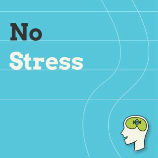 The Surprising Habits of Emotionally Resilient (unstressable) People /w Military Psychologist Steven Stein