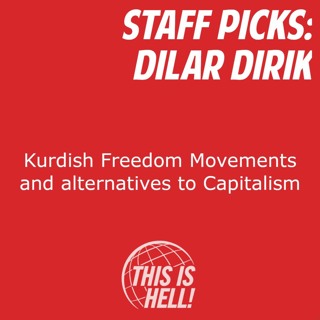 STAFF PICKS: Kurdish Freedom Movements and Alternatives to Capitalism / Dilar Dirik
