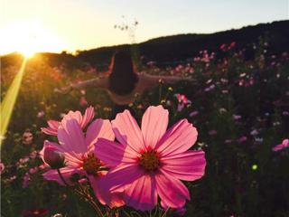 Astrology and Energies From July 19 to July 26