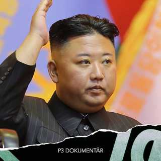 Mordet på Kim Jong-uns halvbror