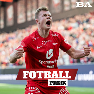 Grønner tror fortsatt på Heggebø-vraking