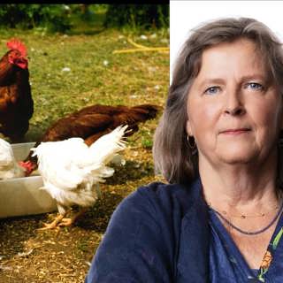 Påskhopp från en femåring: Maria Persson Löfgren, Rysslandskorrespondent