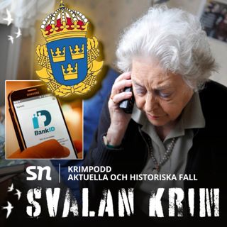 De unga penningtvättsmålvakterna och bedrägerier