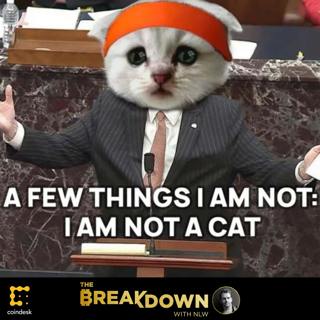 BREAKDOWN: 'I Am Not a Cat' – The GameStop Hearing Shows How Desperately a New Financial System Is Needed