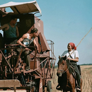 E34 - Against the Grain: The Virgin Lands Campaign in Kazakhstan
