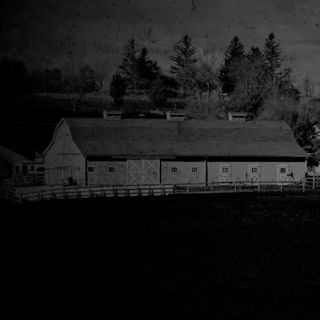 Not So Alone On The Farm
