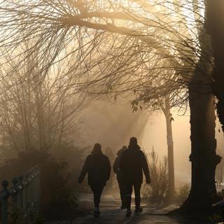 How to fall in love with winter