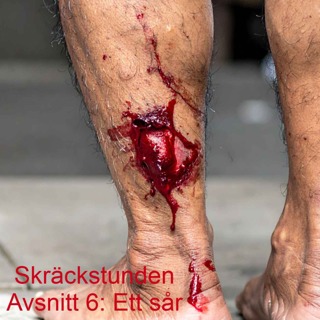 6. Ett sår