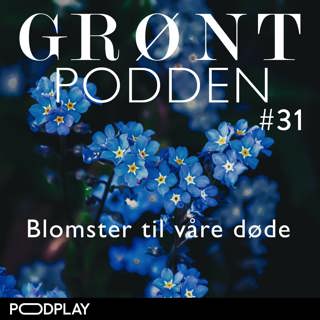#31 Blomster til våre døde