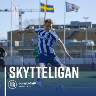 609. Skytteligan