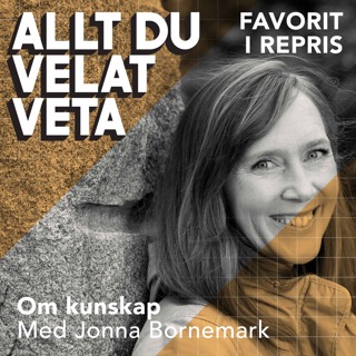 Allt du velat veta