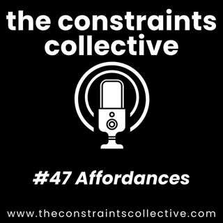 #47 Affordances