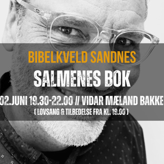 Salmenes bok - Vidar Mæland Bakke