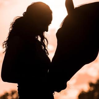 Bandera, A Gentle Soul Horse