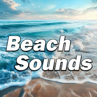 Autumn Beach Sounds: Evening Gentle Waves