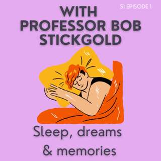 Episode 1: Bob Stickgold - What do sleep and dreams do for our minds and our memories?