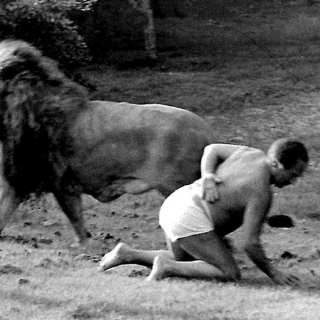 Lejonattacken i Steninge