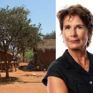 Människor är farligare än elefanter: Alice Petrén, Bangui