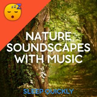 đ´đđľ NATURE Soundscapes with Soft MUSIC