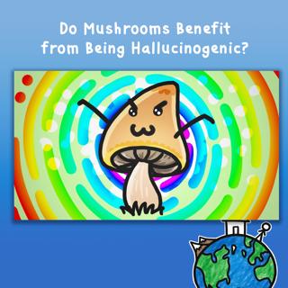 Do Mushrooms Benefit from Being Hallucinogenic?