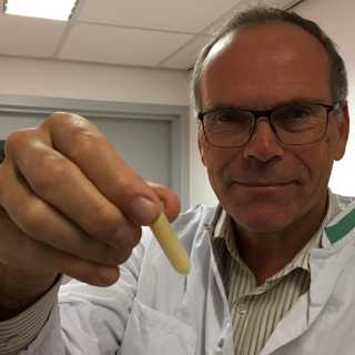Framtidens kött finns i labbet