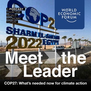 COP27: 7 leaders on what's needed now for climate action