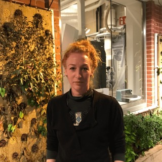 Den estetiska upplevelsen