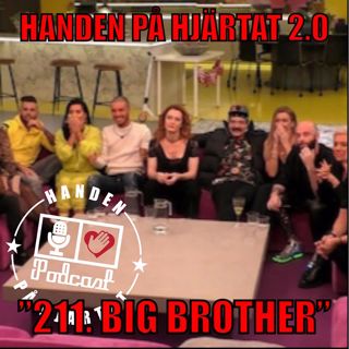 "211. BIG BROTHER"