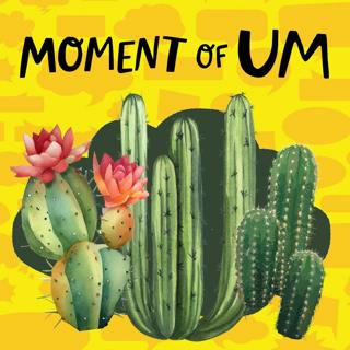 What is inside a cactus?