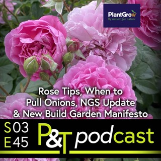 Rose Tips, When to Pull Onions, NGS/Dragonboat Update & A New Build Garden Manifesto