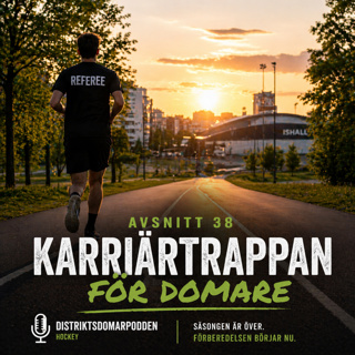 Avsnitt 38 - Karriärtrappan för domare