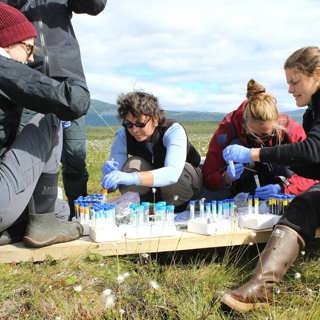 Livet på myren – så påverkas klimatet