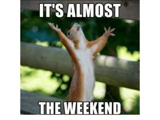 Divine Laziness & Divine Coziness This Weekend