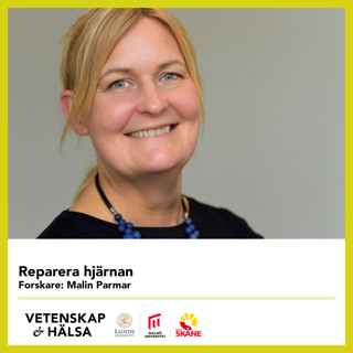 Reparera hjärnan