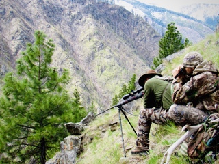 Dial or Hold: Shooting Fast & Accurately in the Backcountry
