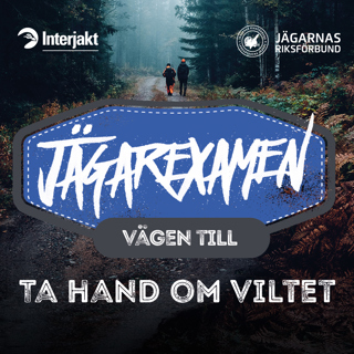 Vägen till Jägarexamen - Ta hand om viltet